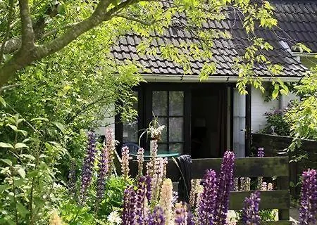 Landhaus-sutje-strandhuette Daire